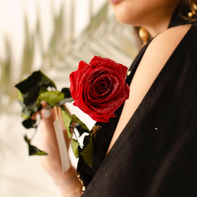Red roses on white background